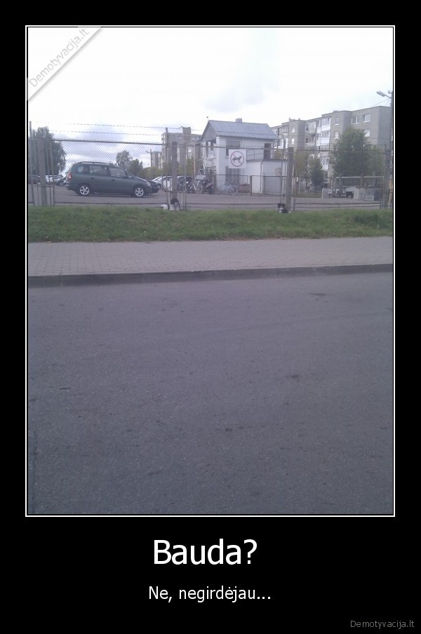 zenklas, sunys, kazkam, px