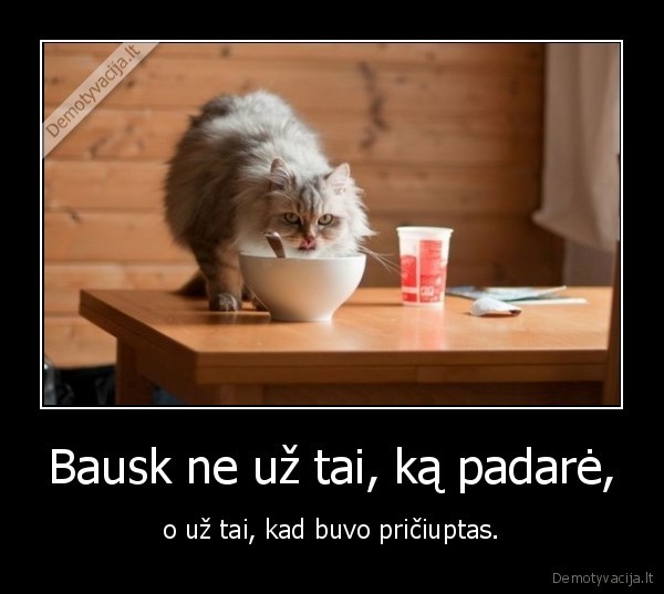 Bausk ne už tai, ką padarė,