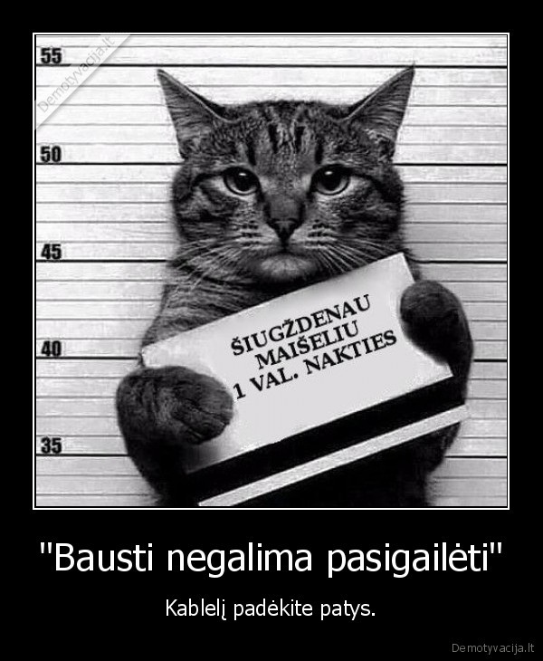 katinas,maiselis,bausme