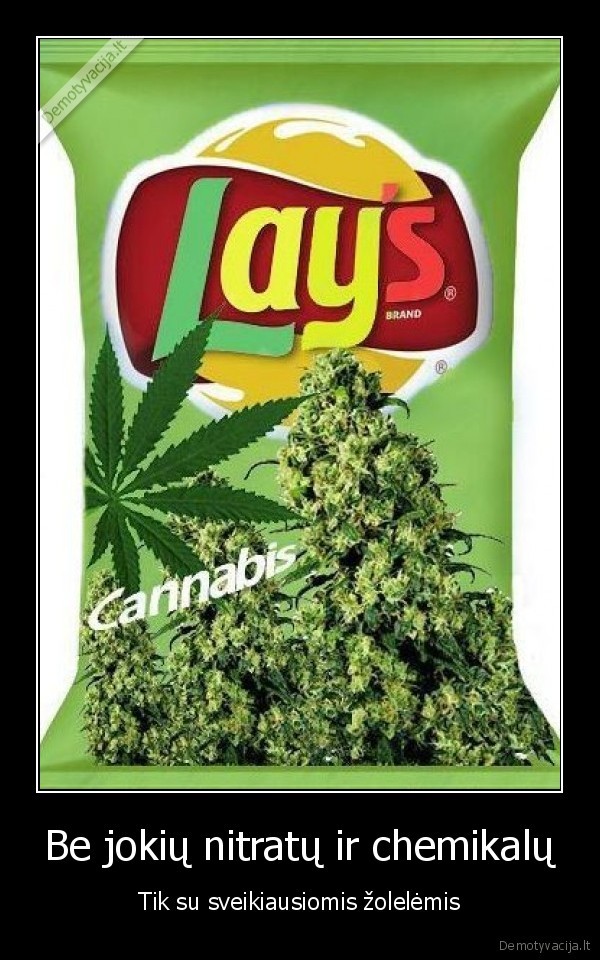 traskuciai, su, marijuana