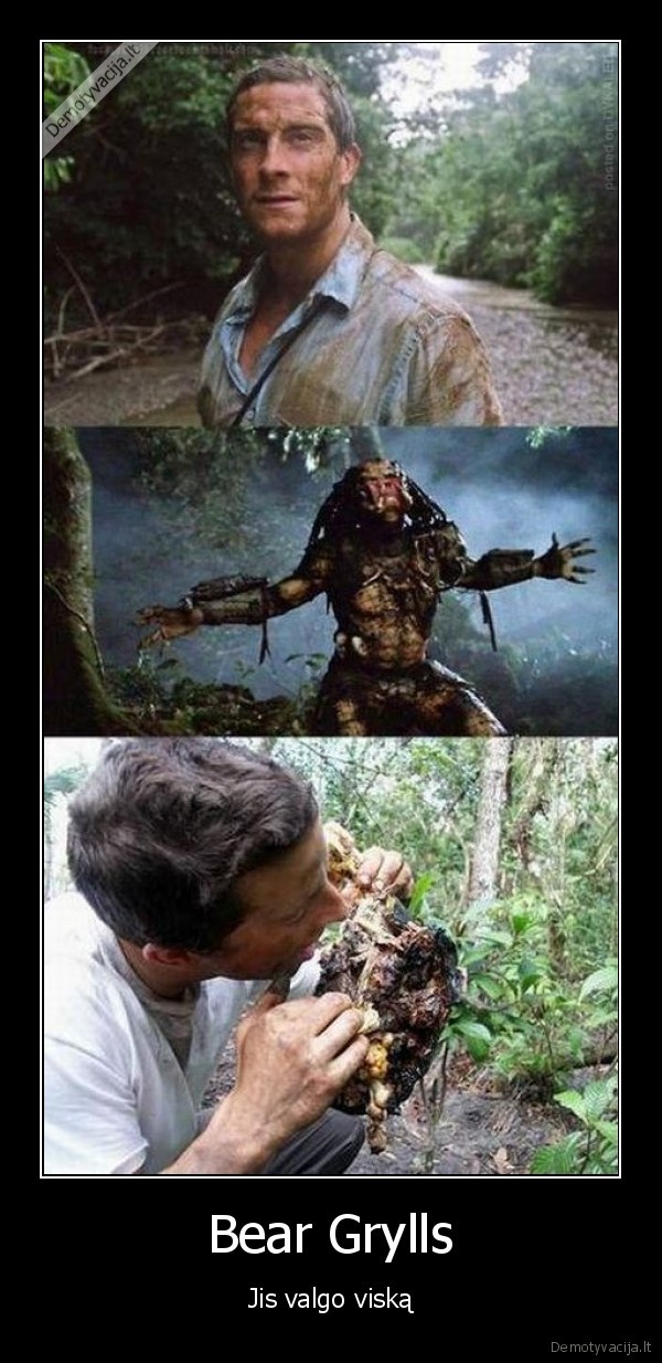 bear,grylls,omg,cat,fail