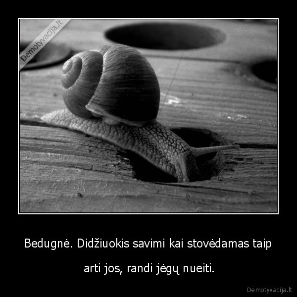 nusivylimas,liudesys,gyvenimas,stiprybe,kova