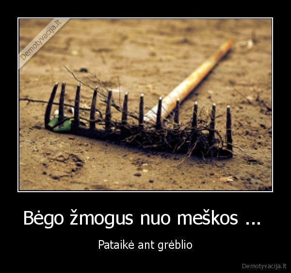 Bėgo žmogus nuo meškos ... 