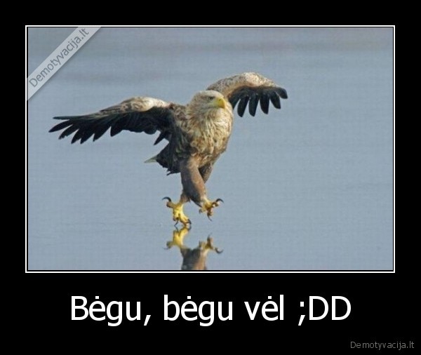 Bėgu, bėgu vėl ;DD