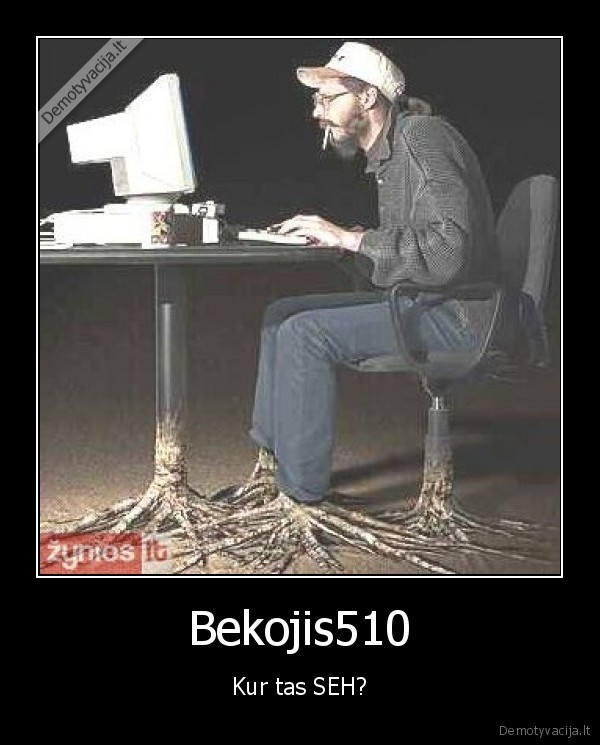 Bekojis510