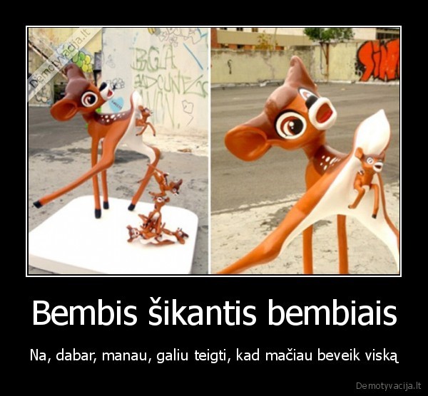 bembis, in, da, house