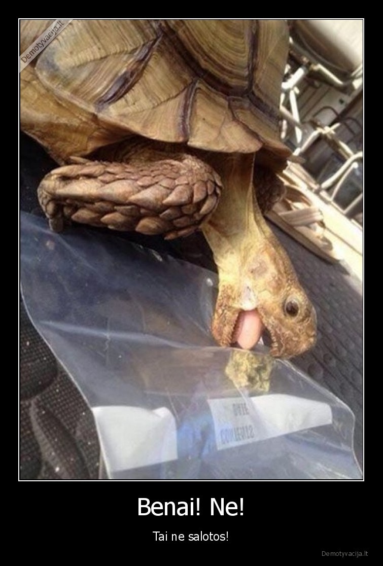 420,salotos,vezlys,valgo