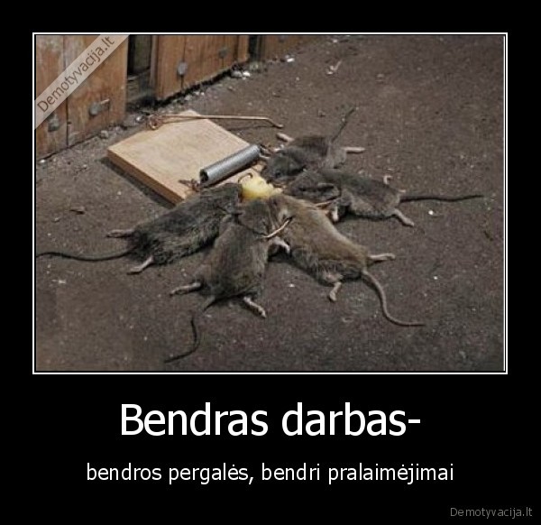 Bendras darbas-
