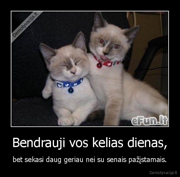 visks,okey,kubilius,ciulpa