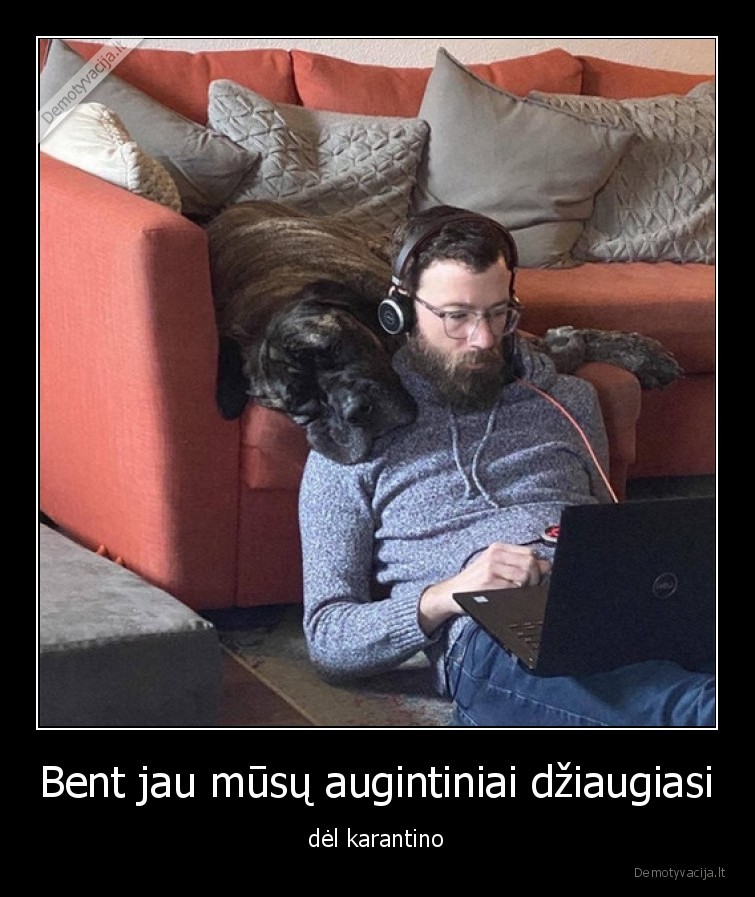 karantinas,gyvunai,dziaugiasi