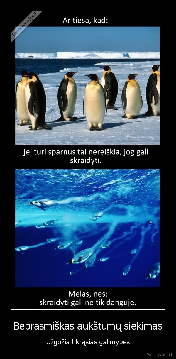 Beprasmiškas aukštumų siekimas