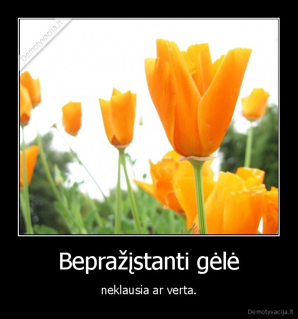 pasitikejimas,savimi