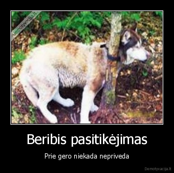 Beribis pasitikėjimas