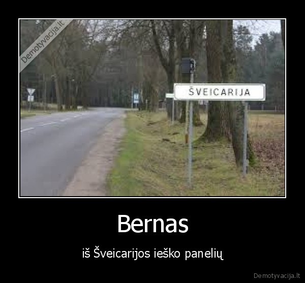sveicarija,bernas