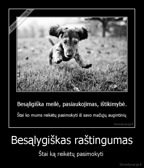 Besąlygiškas raštingumas