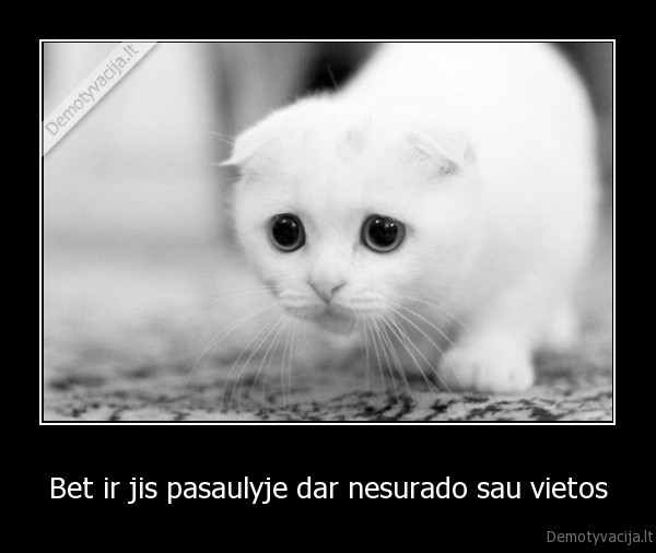 Bet ir jis pasaulyje dar nesurado sau vietos