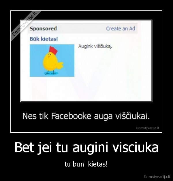 Bet jei tu augini visciuka