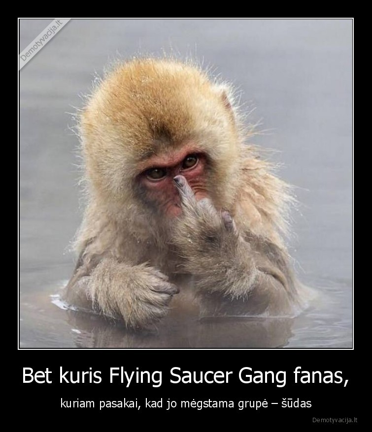 flying, saucer, gang,meschino,scena,aktualijos