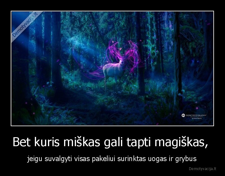 miskas,magiskas,narkotikai