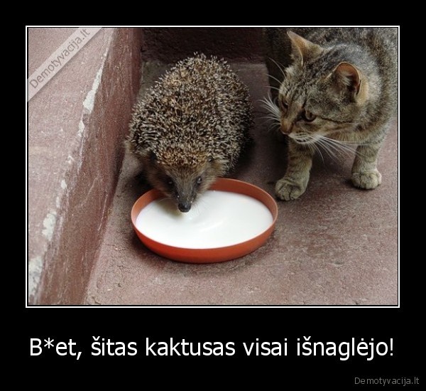 katinas,eziukas,pienas