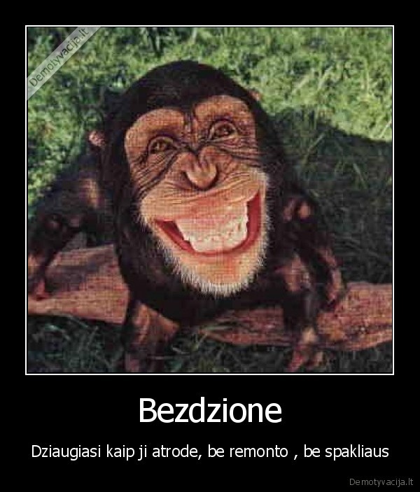 Bezdzione