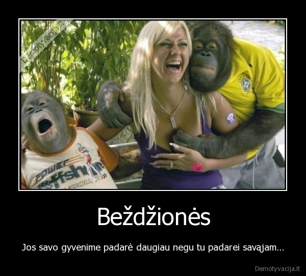 bezdzione,gyvenimas,moteris,papas