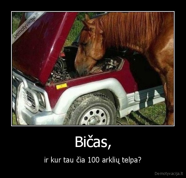 arklys,masinas,dzipas