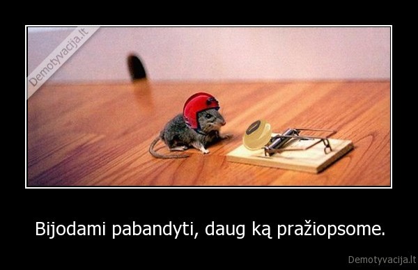 daug,bandome,bandymas,zioplys