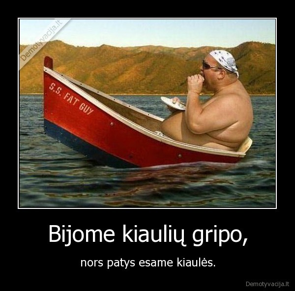 kiaule,kiauliu, gripas,storas,storulis