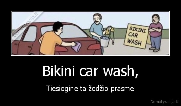 bikini,car,wash