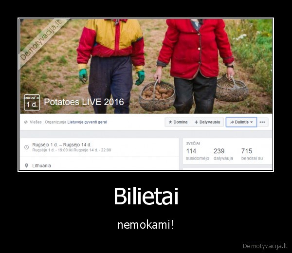 festivalis,potatoes, live