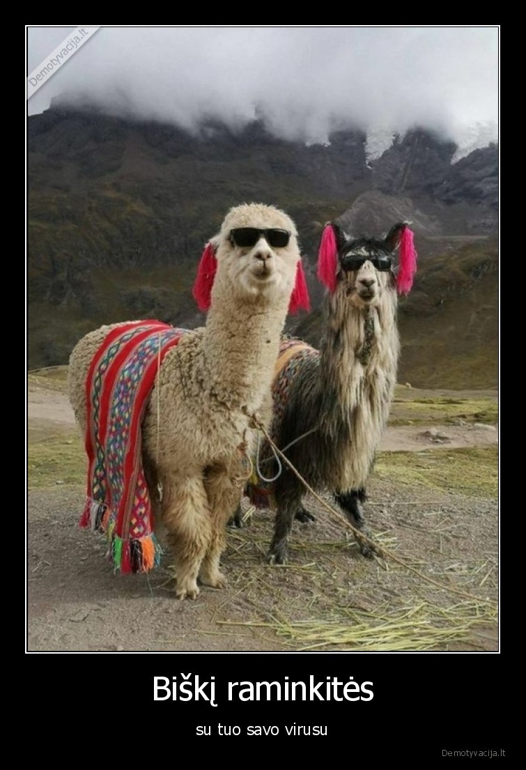 ramybe,chill,virusas,koronavirusas