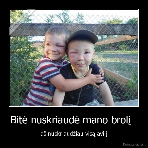 bite,brolis,nuskriaude
