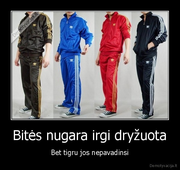 forsai,marozai,adidas, treningai