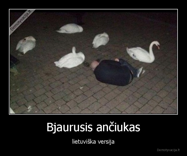 bjaurusis, anciukas,lietuviskai,gulbes,juoda, gulbe