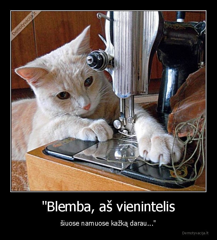 kate,katinas,siuvimas,namai