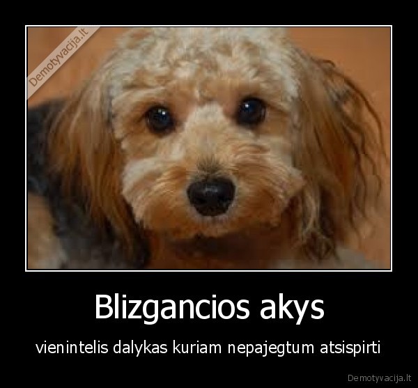 Blizgancios akys