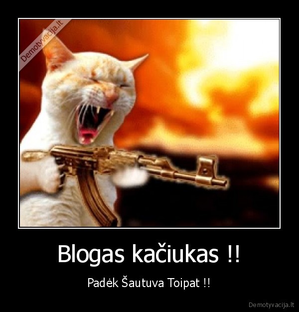 katinas, su, sautuvu