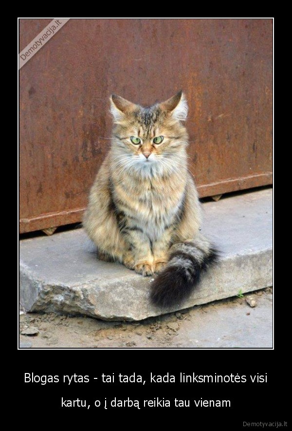 sunkus, rytas,pirmadienio, rytas