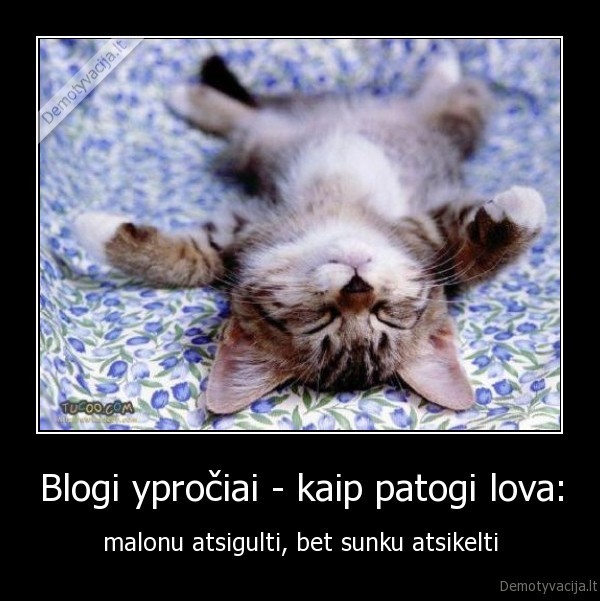 Blogi ypročiai - kaip patogi lova: