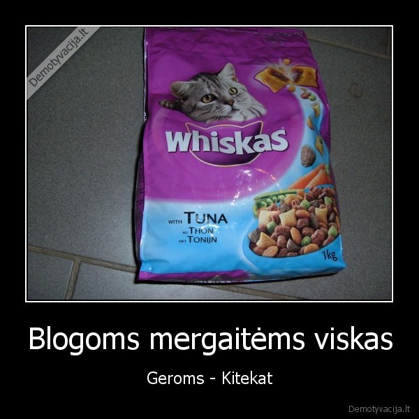 Blogoms mergaitėms viskas