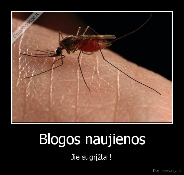 uodai,spuogai,niesti