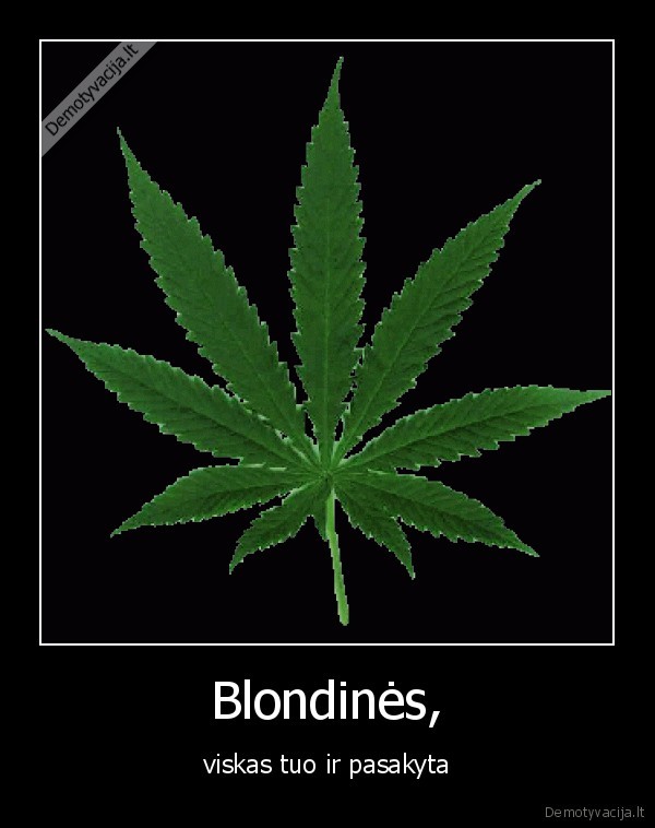 Blondinės,