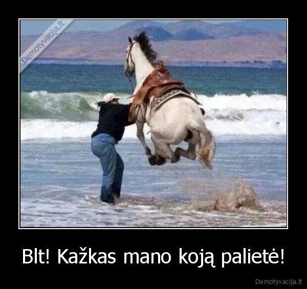 koja,liesti,vanduo,jura