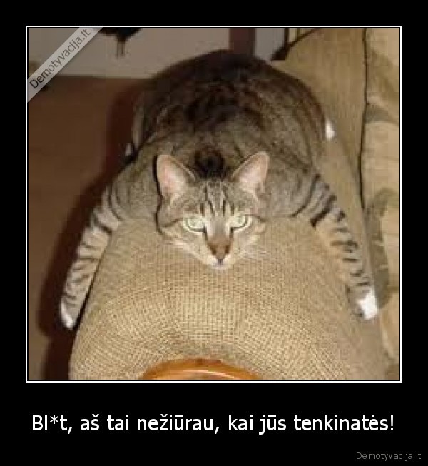 bad, pic, omg, katinas, lold