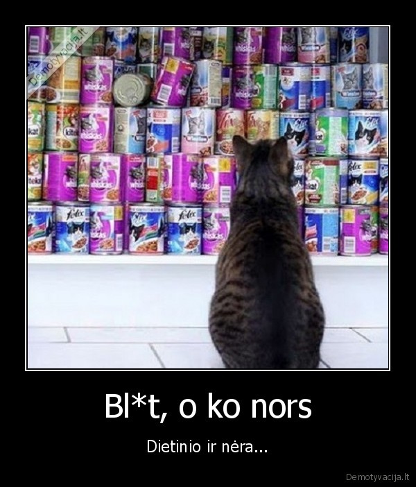 kaciu, kaistas,juokinga, kate,dietinis, maistas