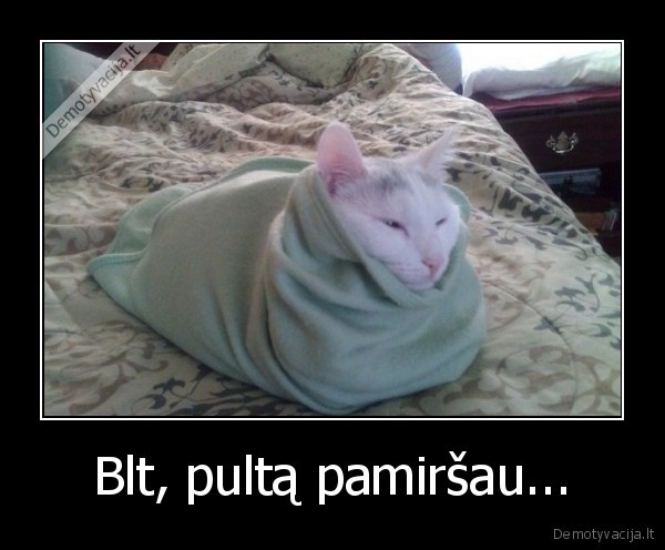 teleizorius,patogu,ziureti