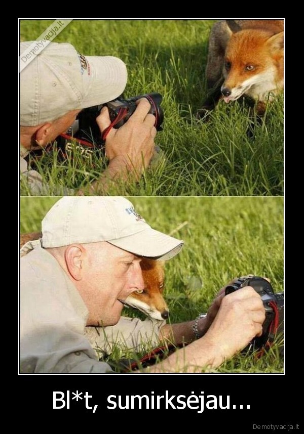 lape, pozuoja,miela, lape,fotografija