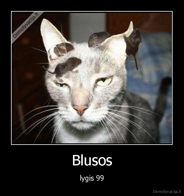 Blusos