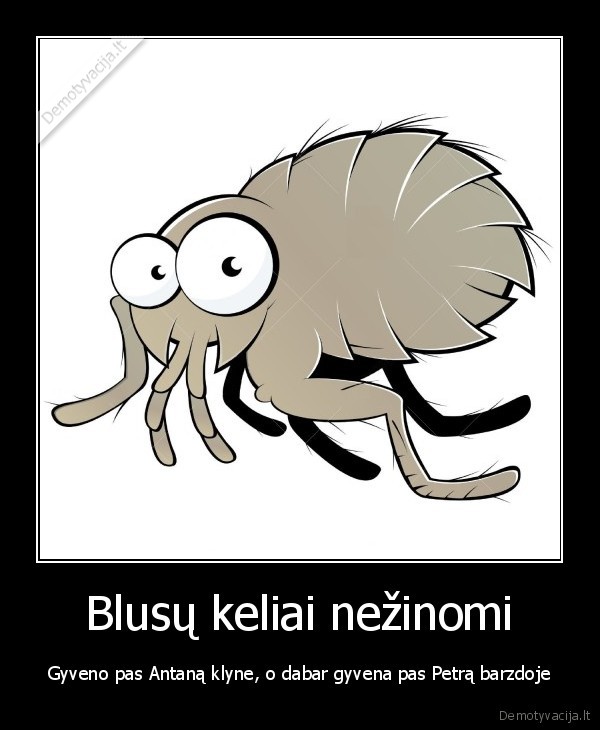 Blusų keliai nežinomi